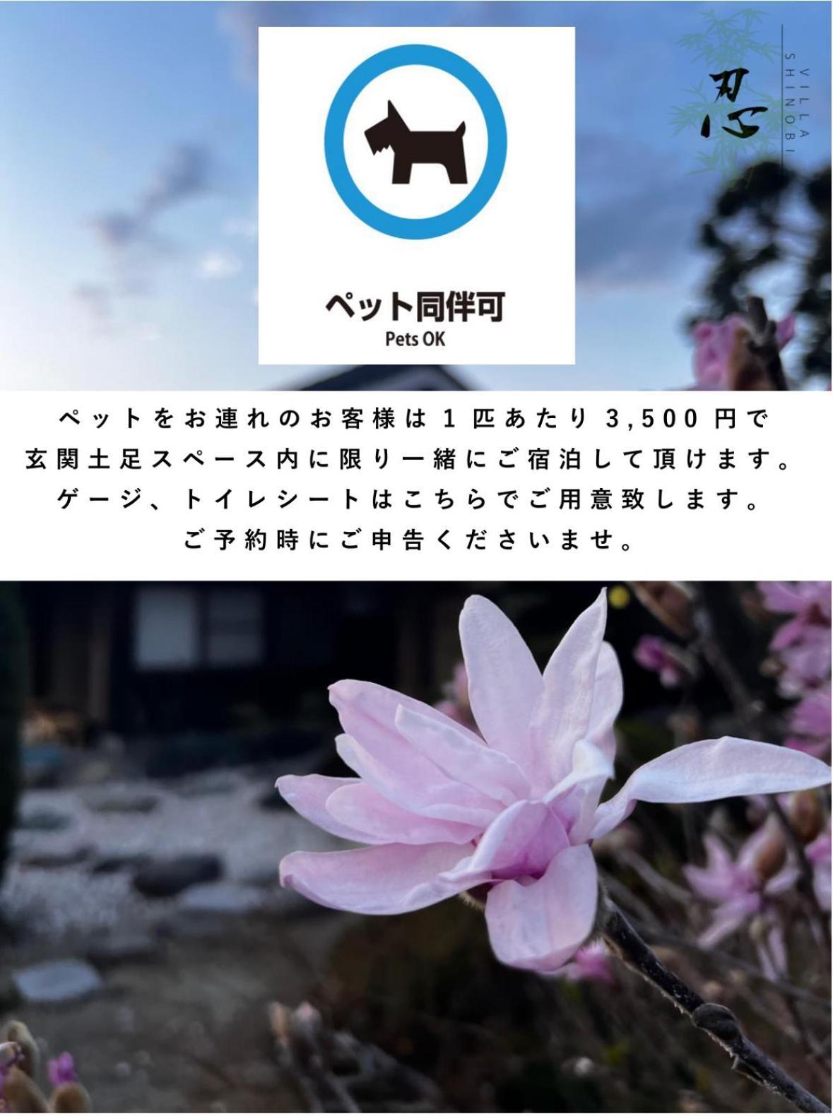 Villa Shinobi -忍- Hinase エクステリア 写真