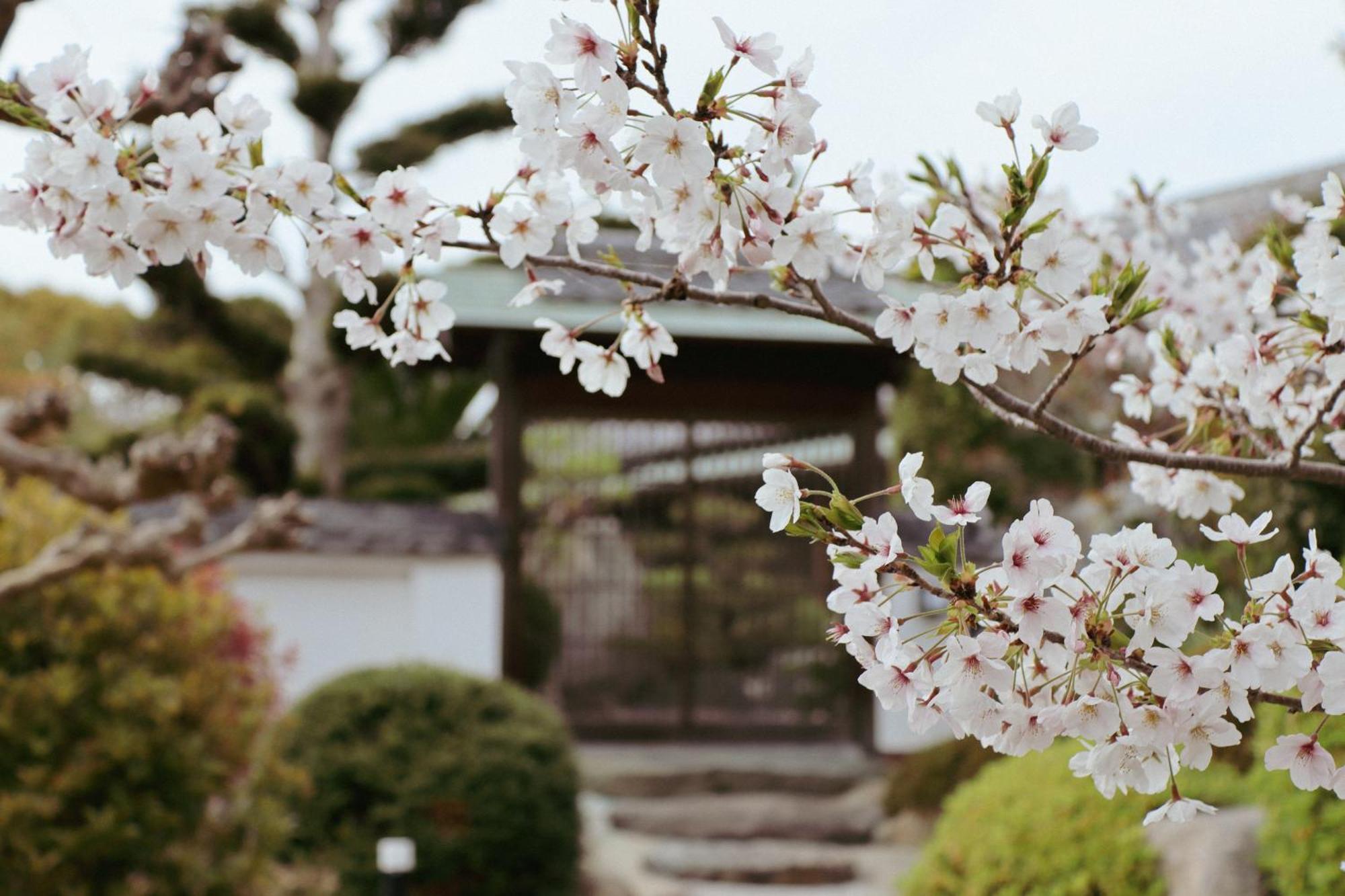 Villa Shinobi -忍- Hinase エクステリア 写真